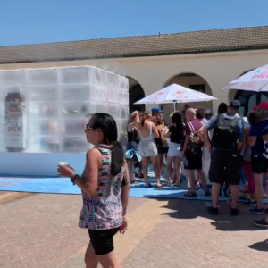 Screen Shot 2019-02-18 at 11.34.26 am